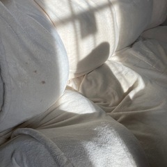 ソファ🛋️の画像