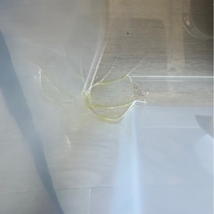 衣装ケース　収納ケース　の画像