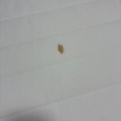 無印　ベッドの画像