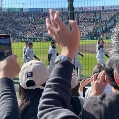 一緒に野球観戦して下さる方！