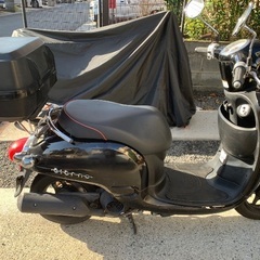 HONDA ジョルノ af70の画像