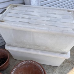 残りわずか。ありがとうございます。の画像