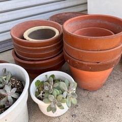 残りわずか。ありがとうございます。の画像