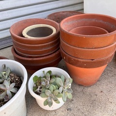 残りわずか。ありがとうございます。の画像