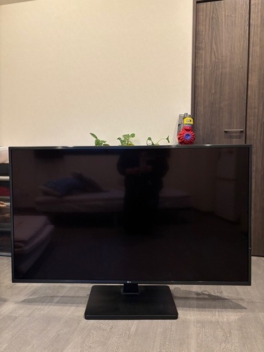 LG 65インチ
テレビ