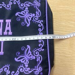 ANNA SUI アナスイ トラベルポーチ　ペンケース　　S_312の画像