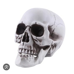 ドクロの置物ください。