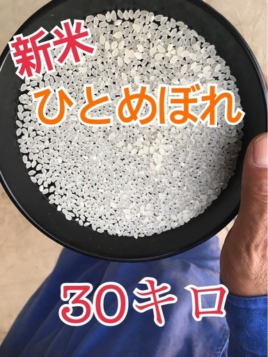 新米　令和7年産白米　30キロ　ひとめぼれ　熊谷市　安い　⑤
