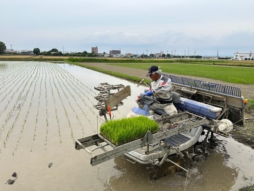 新米　令和7年産白米　30キロ　ひとめぼれ　熊谷市　安い　⑤