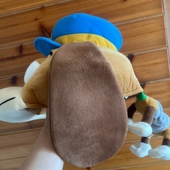 スリンキー　ファンキャップ　ディズニーランドの画像