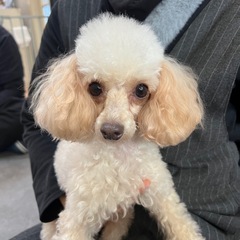 元気いっぱいで、おてんばな女の子！