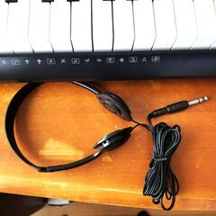 CASIO 電子キーボード WK-245の画像