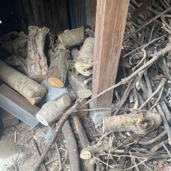 薪ストーブ樹木伐採の画像