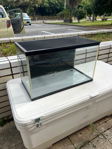爬虫類ゲージ