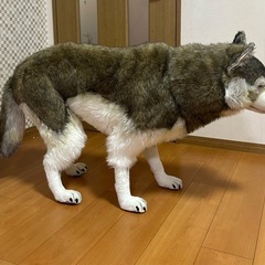 HANSA シンリンオオカミ リアル　ぬいぐるみ の画像