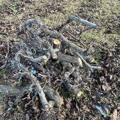 キャンプ　焚き火　薪の画像