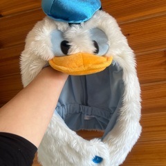 ドナルド　ファンキキャップの画像