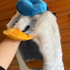 ドナルド　ファンキキャップの画像