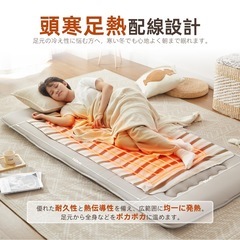 【新品未使用】電気毛布 掛け 敷き 兼用 5段階温度調節 140×80cm 丸洗い可能 の画像