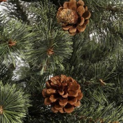 studio CLIP　クリスマスツリーの画像