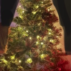 studio CLIP　クリスマスツリーの画像