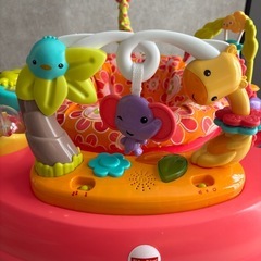 フィッシャープライス ジャンパルー ピンクフラワーの画像