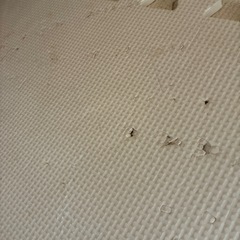 ジョイントマット　まとめ売りの画像