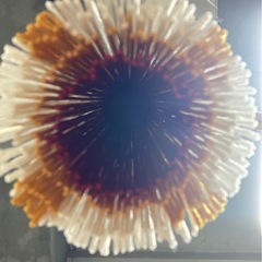 特大房　白(金)        完成品の画像