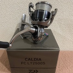 エギング引退セットの画像