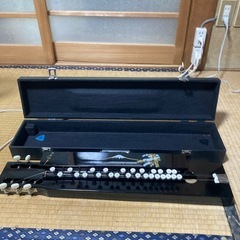 綺麗なコトの画像