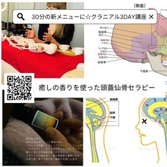 【脳疲労デトックス】クラニオセイクラル1day体験講座⭐︎1/6火曜日14時～✨体験付き1Day講座【頭蓋骨調整】★脳疲労・睡眠の質★ヘッドケアの画像