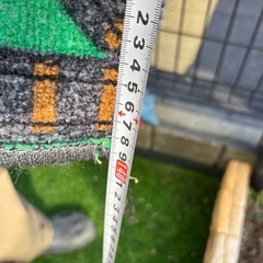 キッズラグの画像