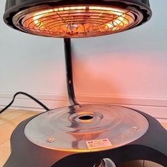 ZAIGLE ホットプレートの画像