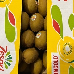 ゼスプリ・サンゴールドキウイ1箱48個の画像