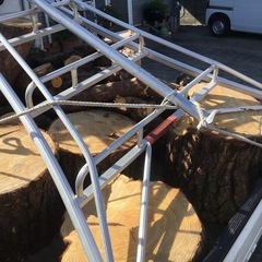 伐採の木の画像