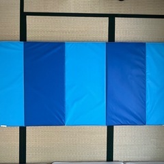 IKEA 折り畳みジムマットの画像