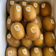 ゼスプリ・サンゴールドキウイ1箱48個の画像