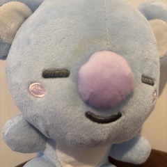 BTSコアラKOYA RMの画像