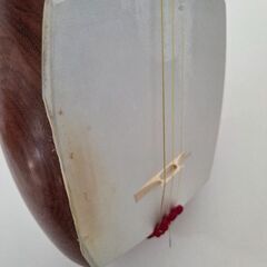 三味線本体花梨材ハードケース付きの画像