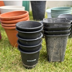 鉢　いろいろ　まとめ売り　ガーデニングの画像