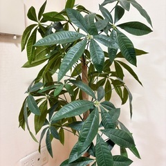 1m超え　人工観葉植物　人工植木　造花　 インテリア　中型の画像