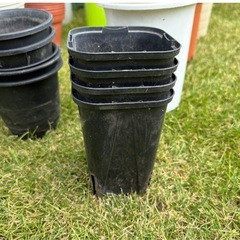 鉢　いろいろ　まとめ売り　ガーデニング　②の画像