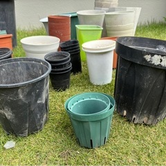 鉢　いろいろ　まとめ売り　ガーデニング　②の画像