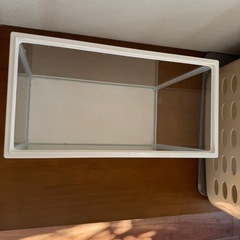 Sサイズの水槽とミニヒーター_____20251204の画像