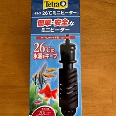 Sサイズの水槽とミニヒーター_____20251204の画像