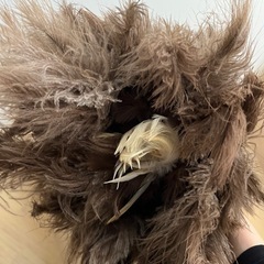 車　毛ばたき・埃取りの画像