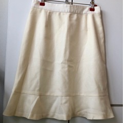 2枚のフレアスカートの画像