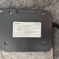 ホットカーペットの画像