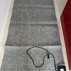 ホットカーペットの画像