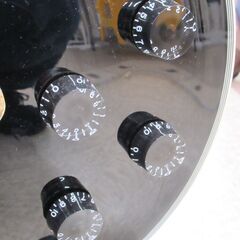 Grass Roots エレキギター レスポールタイプ G-2571の画像